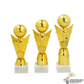 Trofee met een Goud accent - AS3229