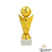 Trofee met een Goud accent Trofee met een Goud accent