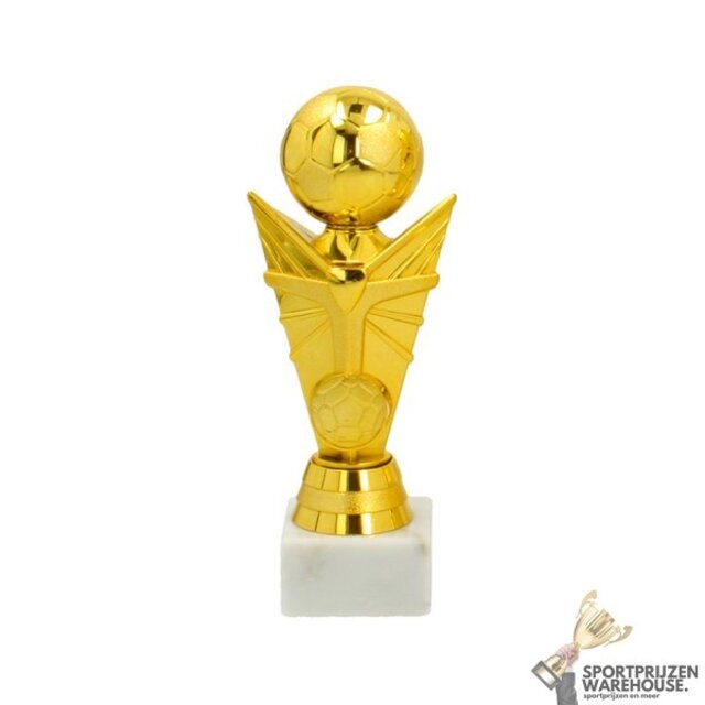 Trofee met een Goud accent Trofee met een Goud accent