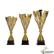 Mooie beker met een Goud Accent