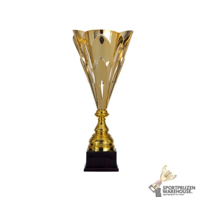 Mooie beker met een Goud Accent