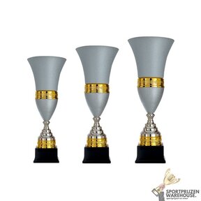 Luxe Trofee met een Goud accent - AX9180