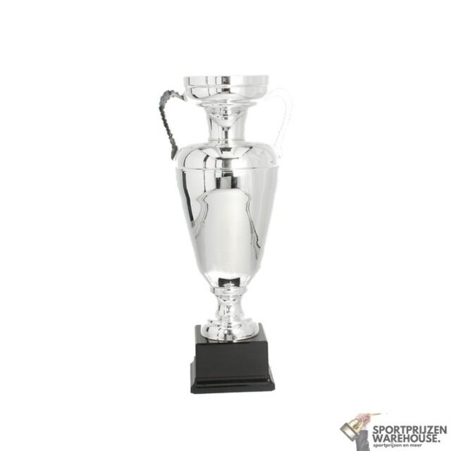 Trofee met een Zilver accent