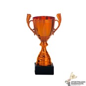 Gave award in goud, zilver of brons