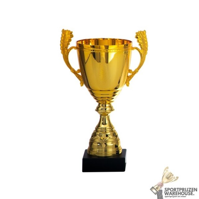 Gave award in goud, zilver of brons