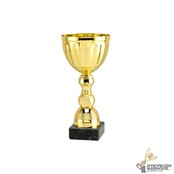 Sportprijs van Goud in 8 hoogtes - ET.471