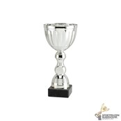 Sportprijs van Zilver in 8 hoogtes - ET.471