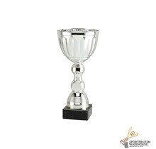 Sportprijs van Zilver in 8 hoogtes - ET.471