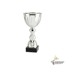 Sportprijs van Zilver in 8 hoogtes - ET.471