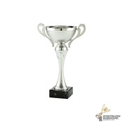 Zilveren trofee met metalen cup - MT.152