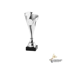 Budget trophy in het zilver - Set.353