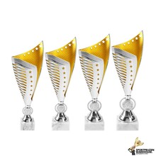 Zilveren Award met goud accent - AK5041