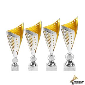 Zilveren Award met goud accent - AK5041