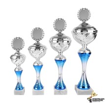 Mooie Award met blauw accent