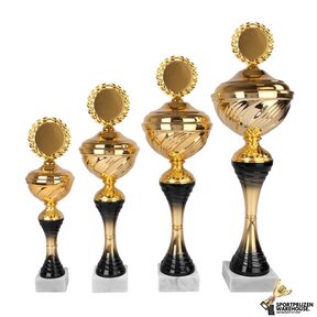 Sportprijs van goud met zwart accent - AK5043