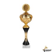 Sportprijs van goud met zwart accent