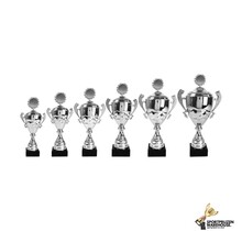 Gave award van zilver in 6 maten