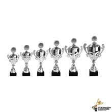 Gave award van zilver in 6 maten - AK5135