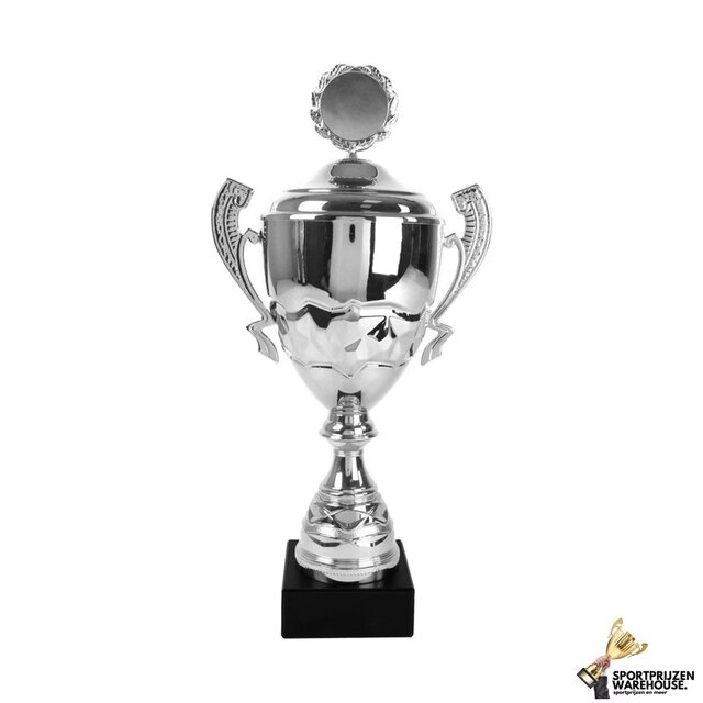 Gave award van zilver in 6 maten