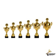 Luxe trofee van goud met dicht deksel - AK5136