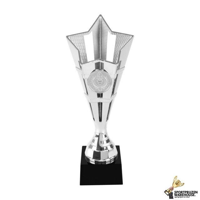 Budget trofee in 3 kleur opties