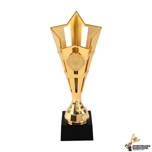 Budget trofee in 3 kleur opties
