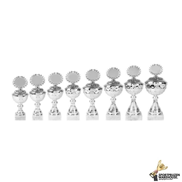 Zilveren beker serie in 8 maten