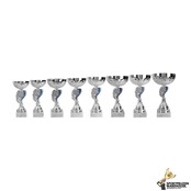 Trofee van zilver met blauw accent