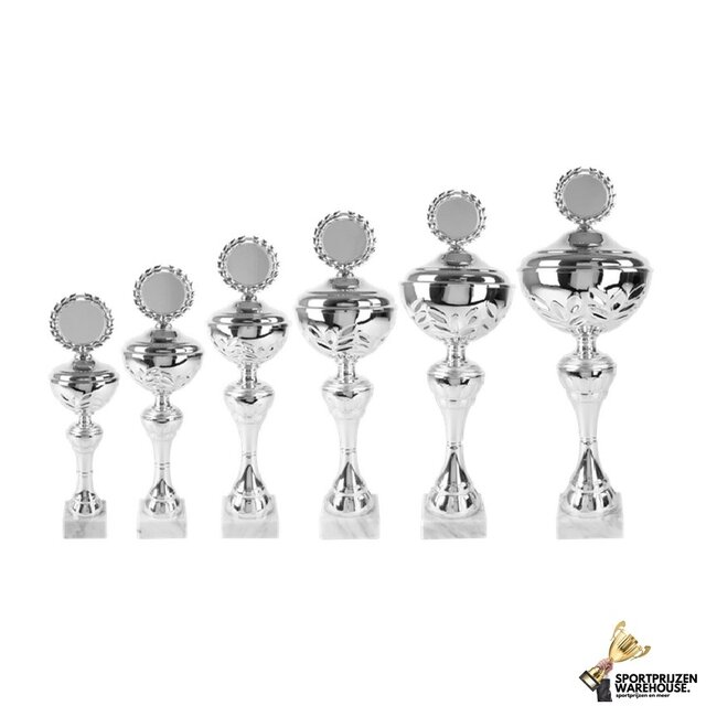 Luxe zilveren sportprijs met gravering