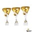 Unieke zilveren trofee met goud accent