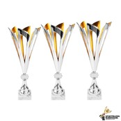 Sierlijke award met gouden accent