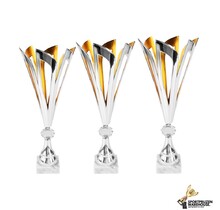 Sierlijke award met gouden accent