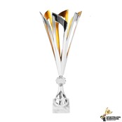 Sierlijke award met gouden accent