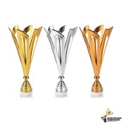 Leuke wisseltrofee in 3 kleuren