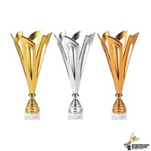 Leuke wisseltrofee in 3 kleuren - AK5980