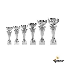 Sportprijs in het zilver