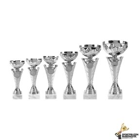 Sportprijs in het zilver - AK6002