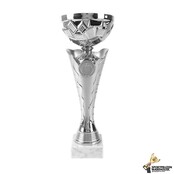 Sportprijs in het zilver