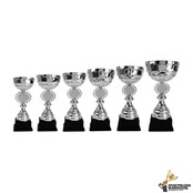 Luxe award van zilver