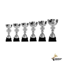 Luxe award van zilver