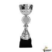 Luxe award van zilver