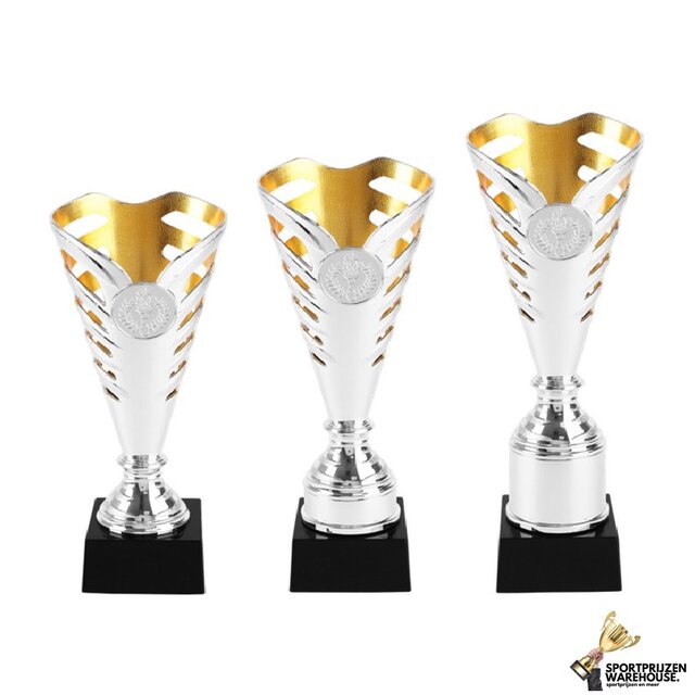 Voordelige sportprijs