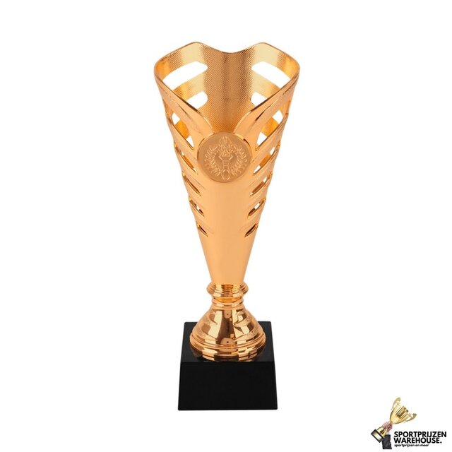 Sportprijzen topper in 3 kleuren