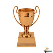 Budget knaller van Sportprijzenwarehouse