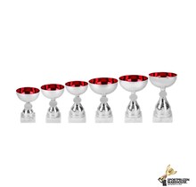 Bokalen serie van zilver