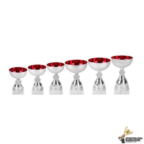 Bokalen serie van zilver - AS3011