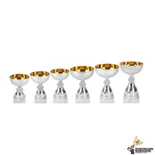 Budget trofee met gouden accent Budget trofee met gouden accent