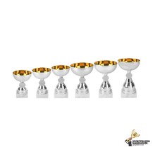 Budget trofee met gouden accent