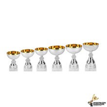 Budget trofee met gouden accent - AS3031