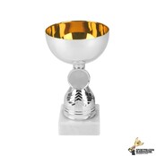 Budget trofee met gouden accent Budget trofee met gouden accent